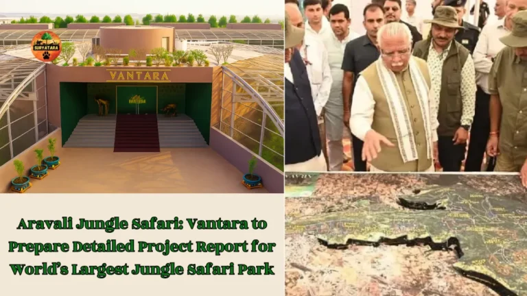 Aravali Jungle Safari