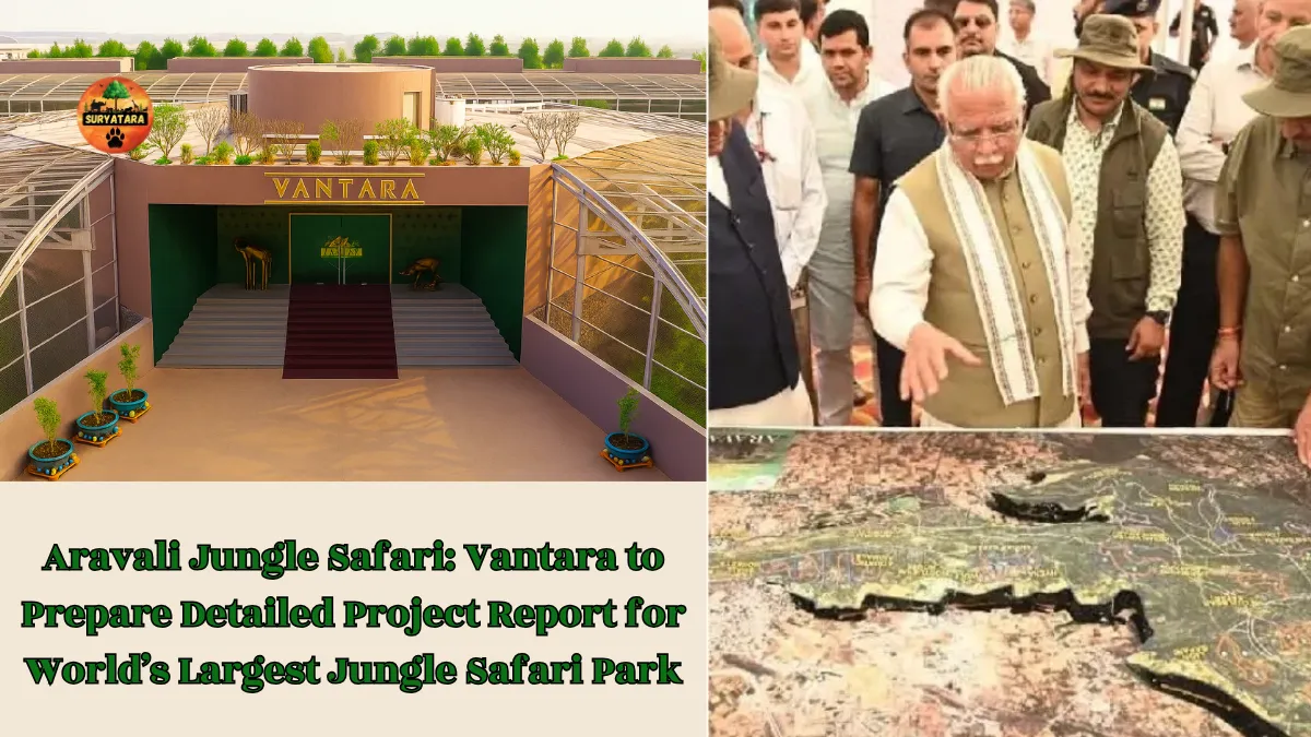 Aravali Jungle Safari
