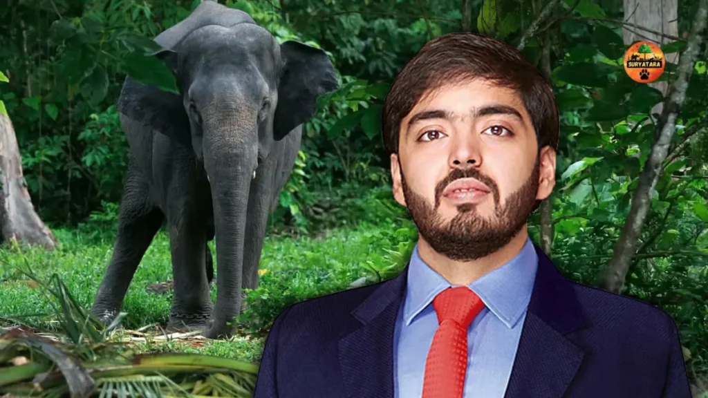 Anant Ambani