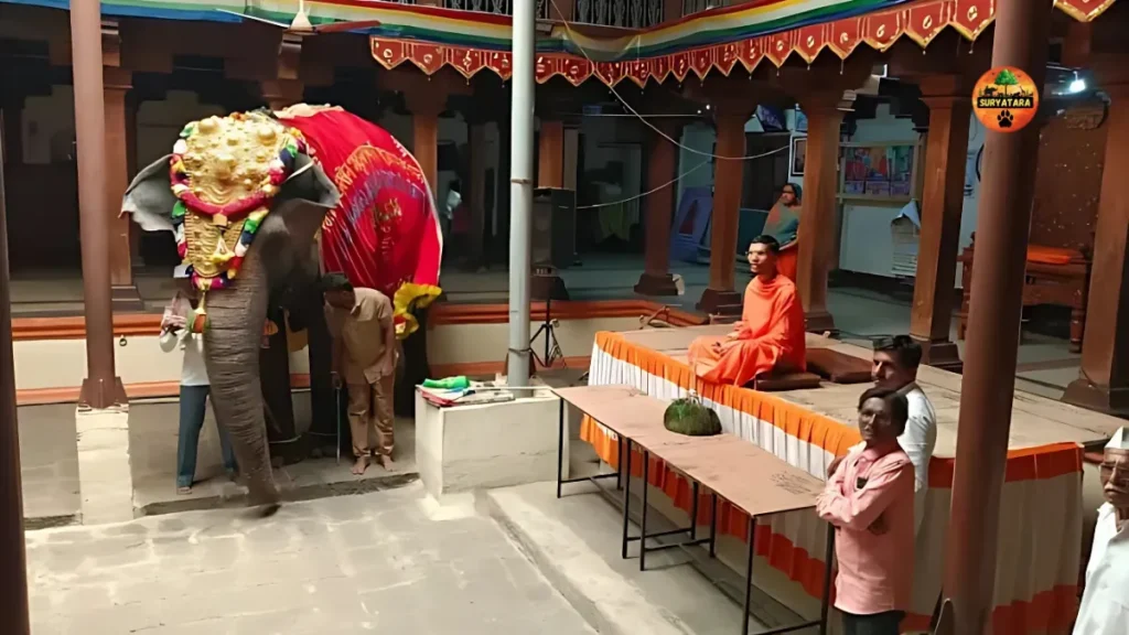 Who is Madhuri Elephant