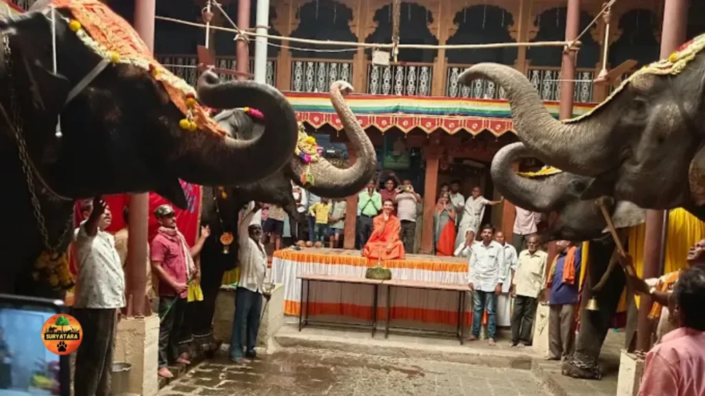 Madhuri Elephant