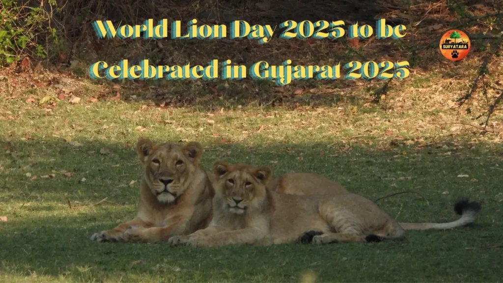 World Lion Day 2025 to be Celebrated in Gujarat 2025
