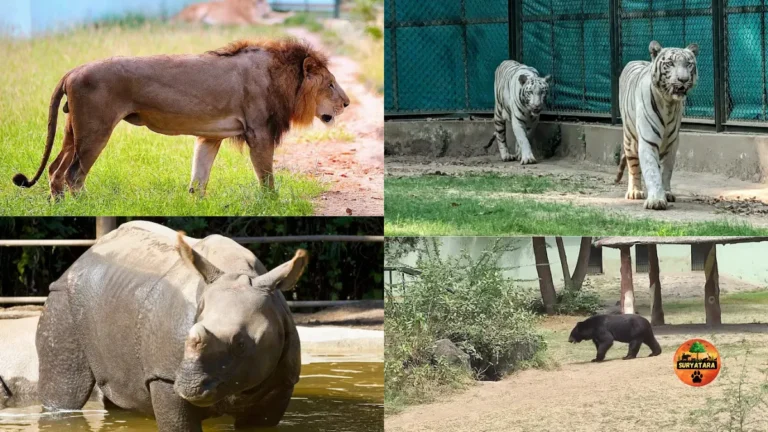 Sarthana Nature Park Ticket Online Booking