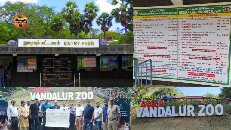 Vandaloor Zoo Ticket Price 2025