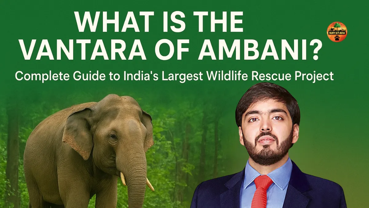 What is the Vantara of Ambani