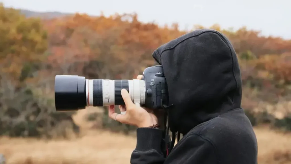 Best Camera Lenses for Wildlife Photography