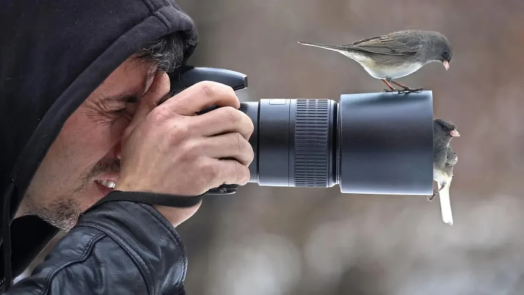 Best Camera Lenses for Wildlife Photography