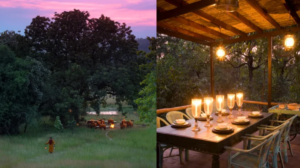 Luxury Jungle Resorts