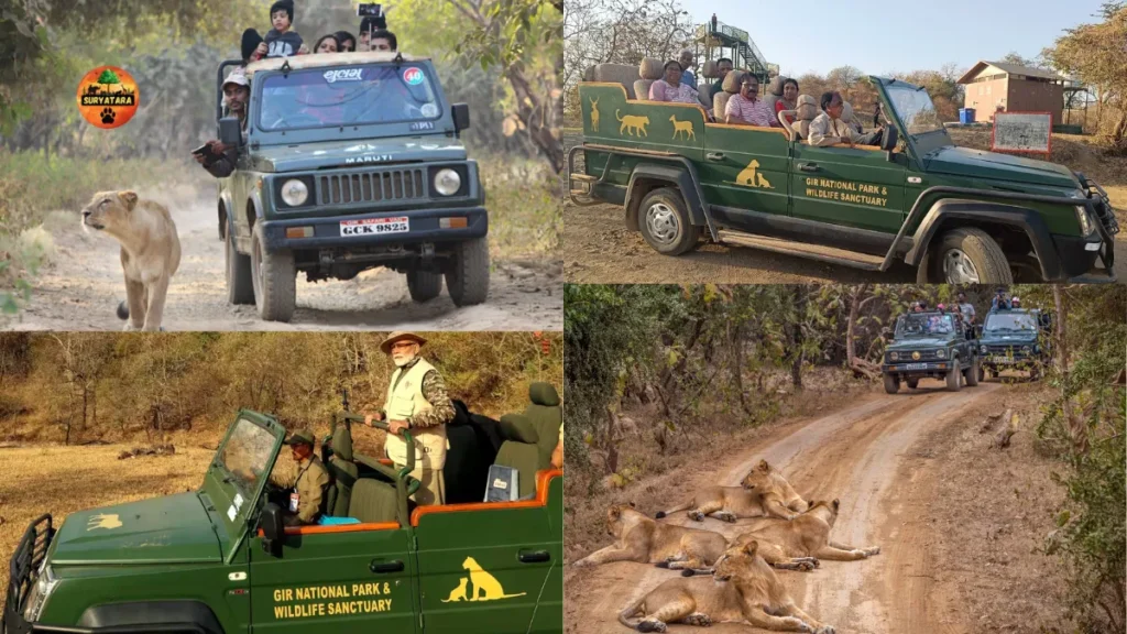 Wildlife Safari Packages