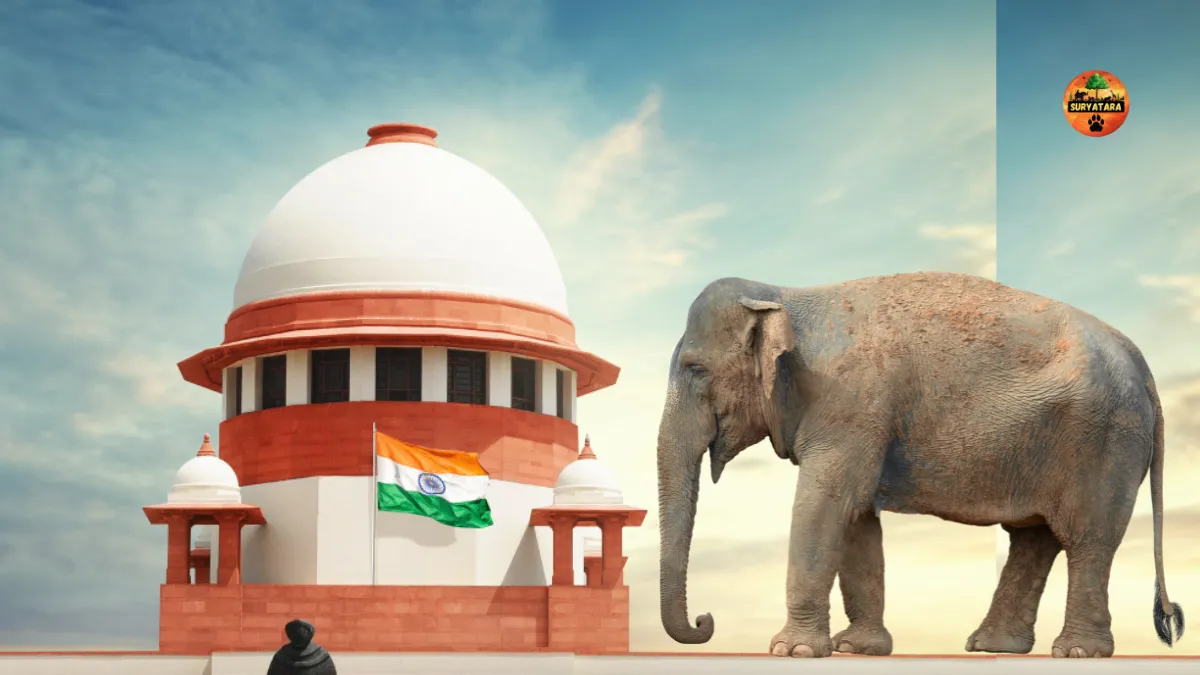 Elephant Mahadevi