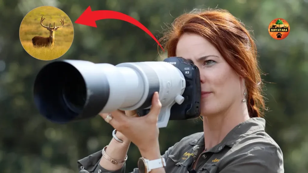 Telephoto lens for wildlife photography