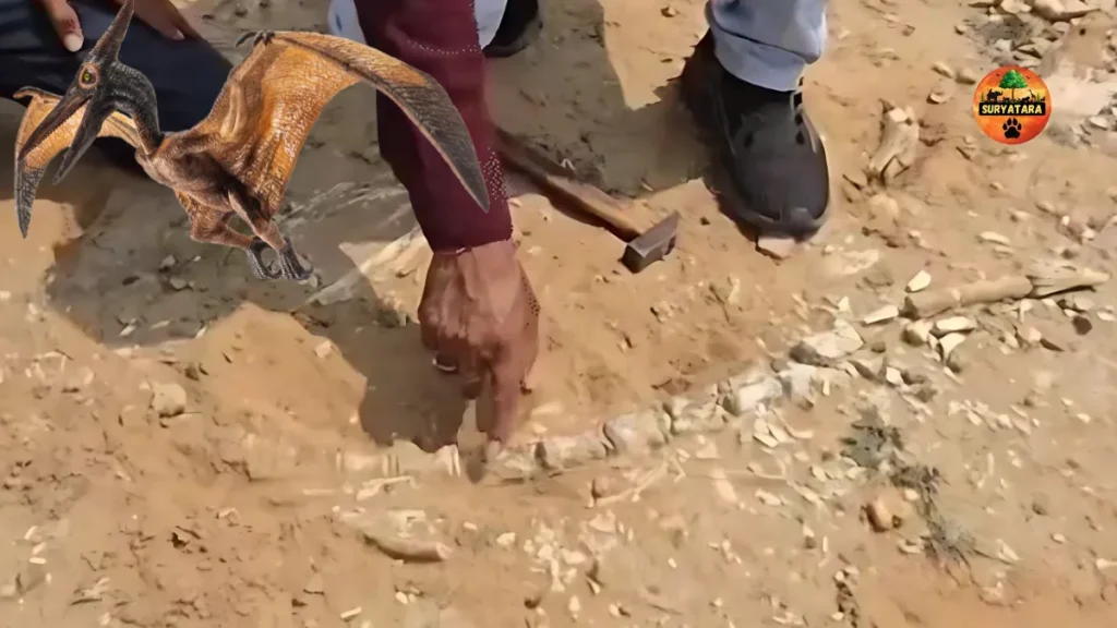 Flying Dinosaur Remains Found in Jaisalmer