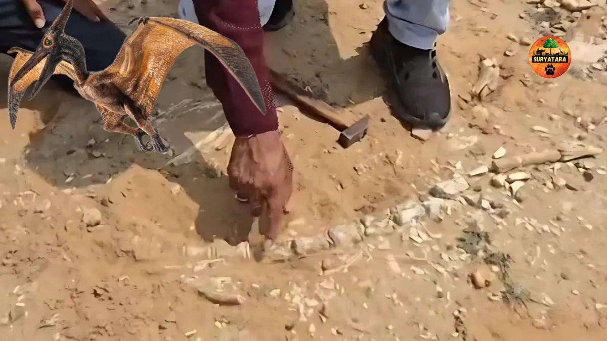 Flying Dinosaur Remains Found in Jaisalmer
