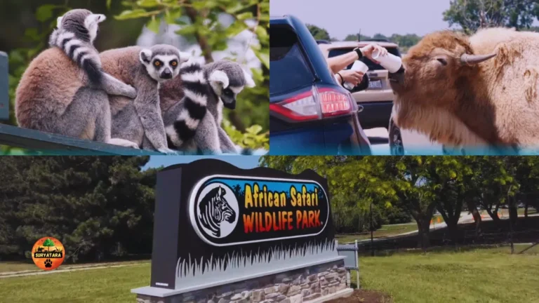 African Safari Wildlife Park