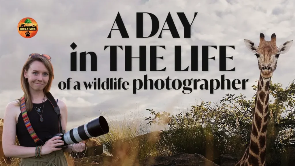What Camera Lens is Best for Wildlife