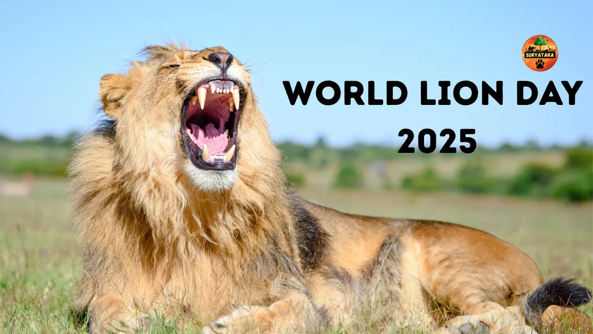 World Lion Day