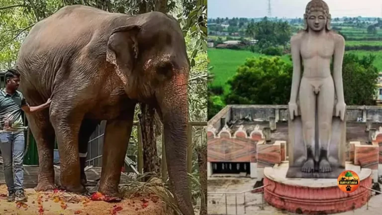 Mahadevi-Madhuri Elephant