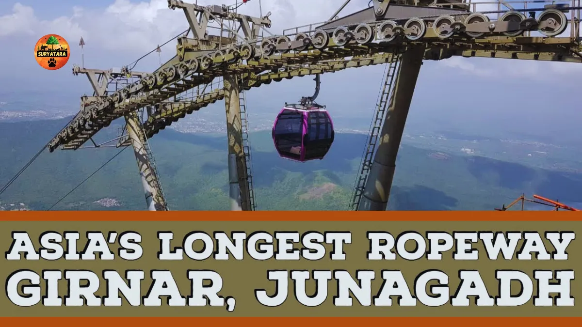 Girnar Ropeway Ticket Price