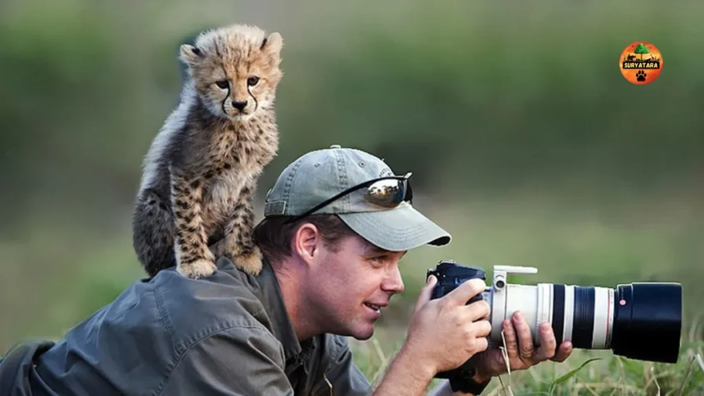 Best Cameras for Wildlife Photography in 2025