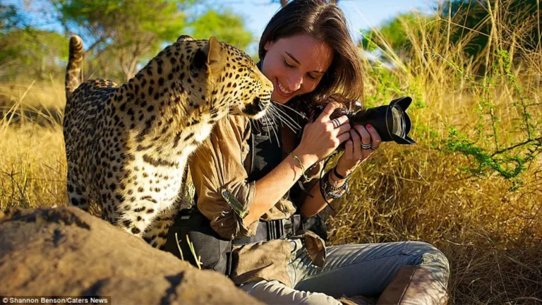 How can I become a wildlife photographer