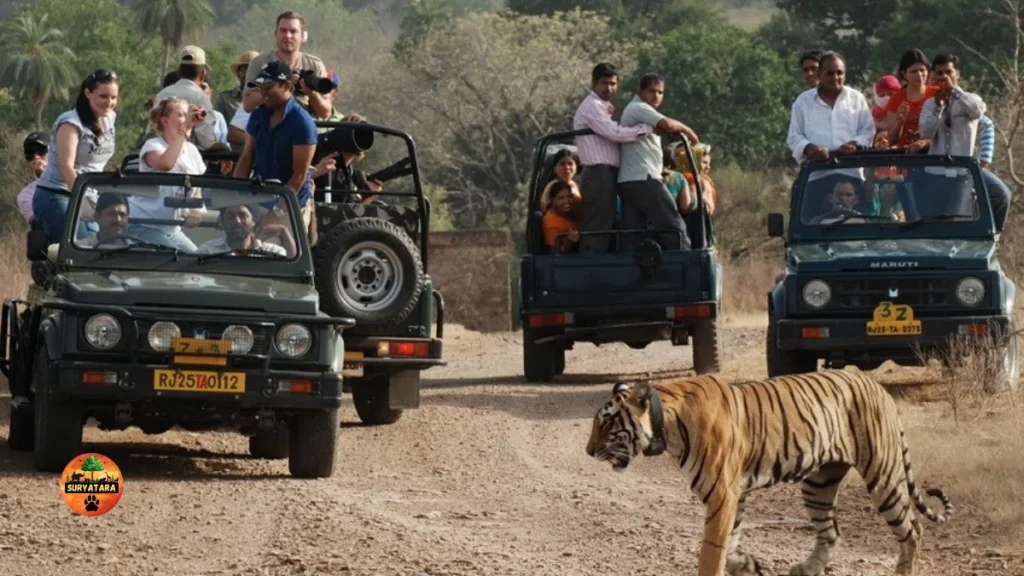 Ranthambore National Park, Rajasthan