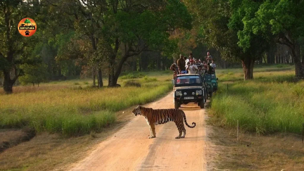 Kanha National Park, Madhya Pradesh