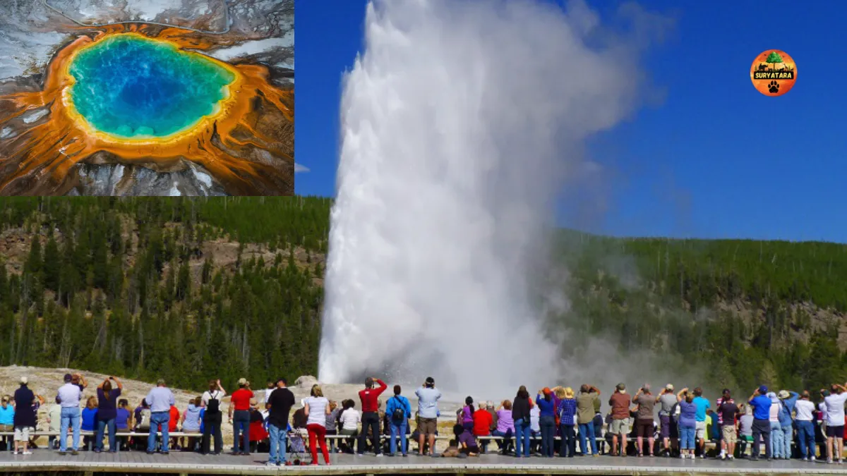 Yellowstone National Park Tickets