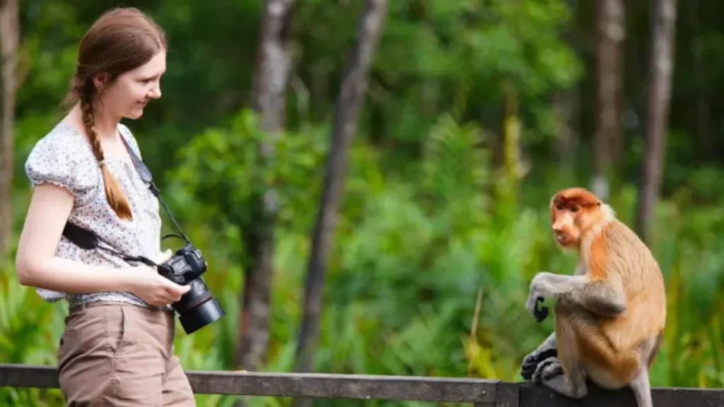 How Can I Become a Wildlife Photographer