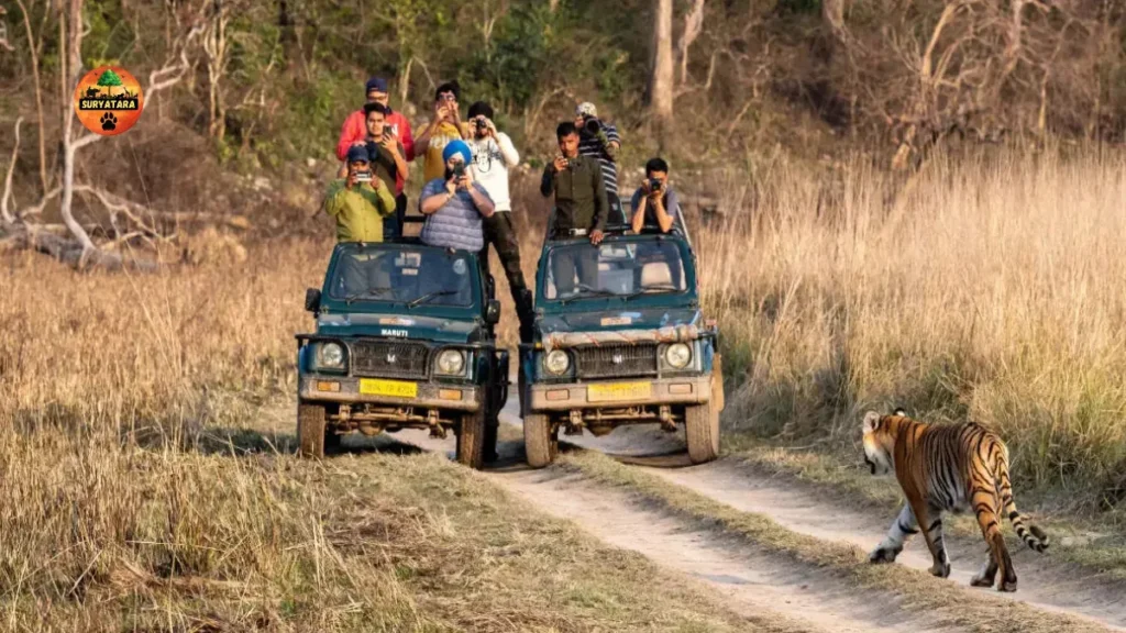  Jim Corbett National Park, Uttarakhand