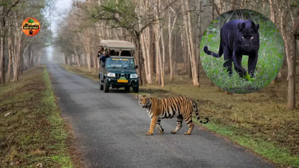 Kabini Wildlife Sanctuary, Karnataka