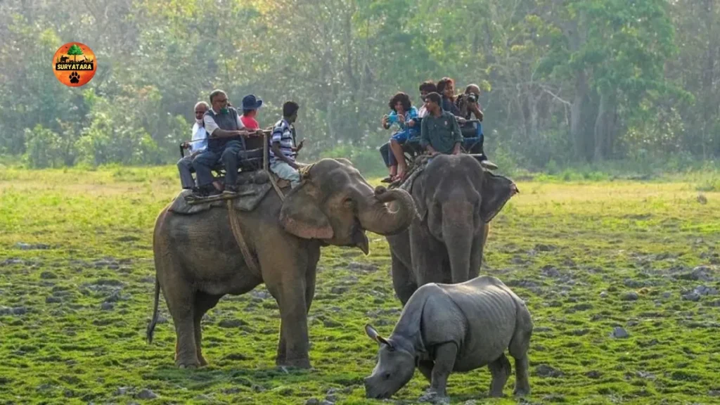 Kaziranga National Park, Assam