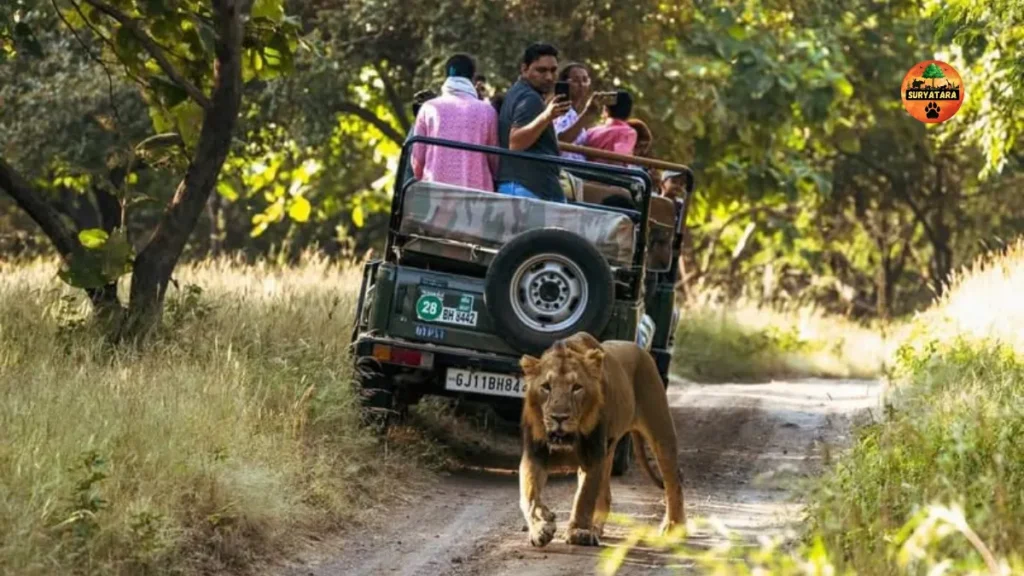 Best National Parks in India