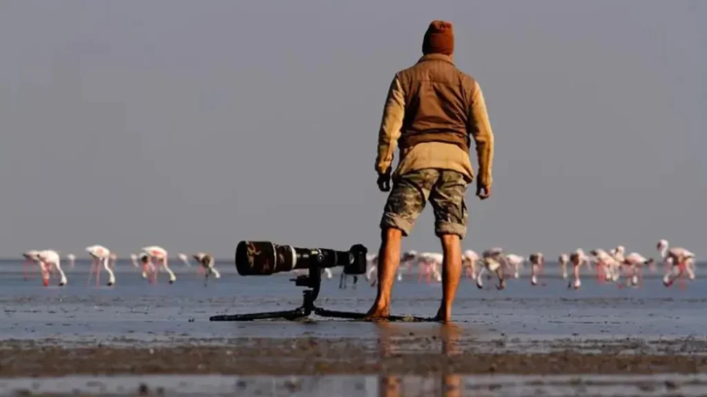 best affordable camera for wildlife photography