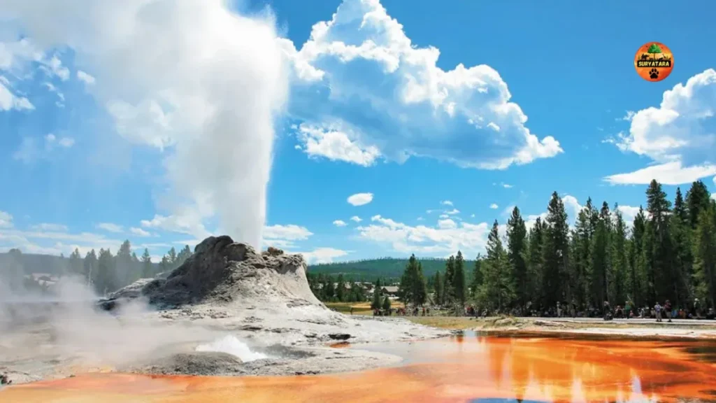 Yellowstone National Park Tickets