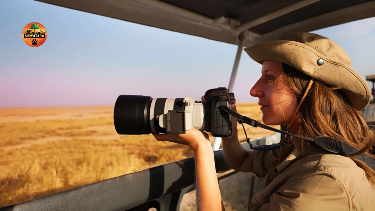 Wildlife Photo Tours