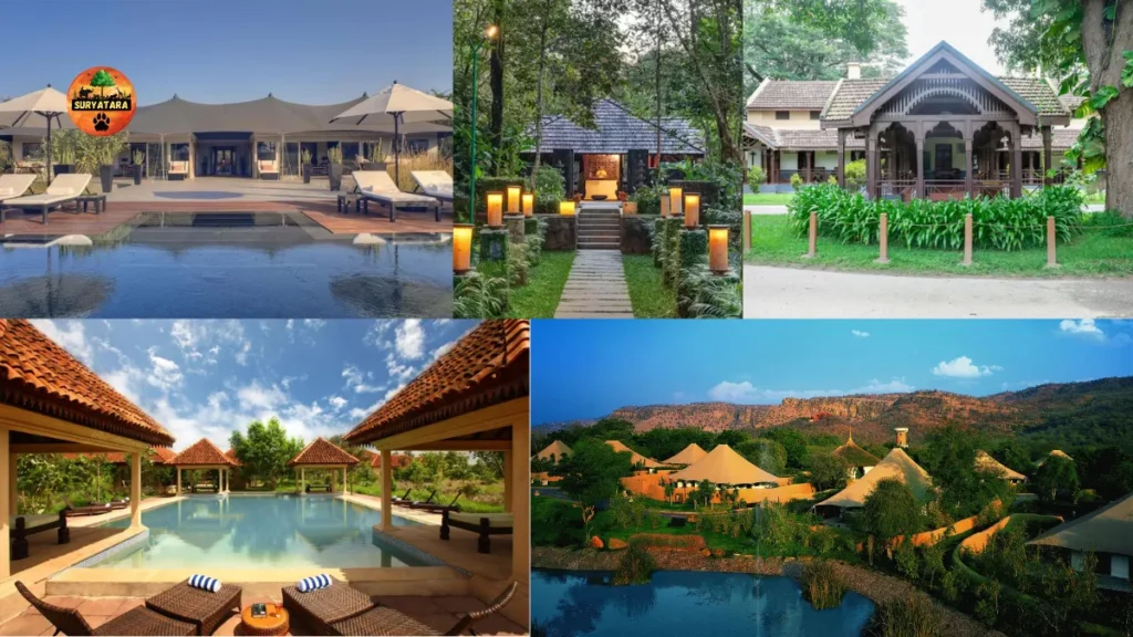 Luxury Jungle Resorts in India