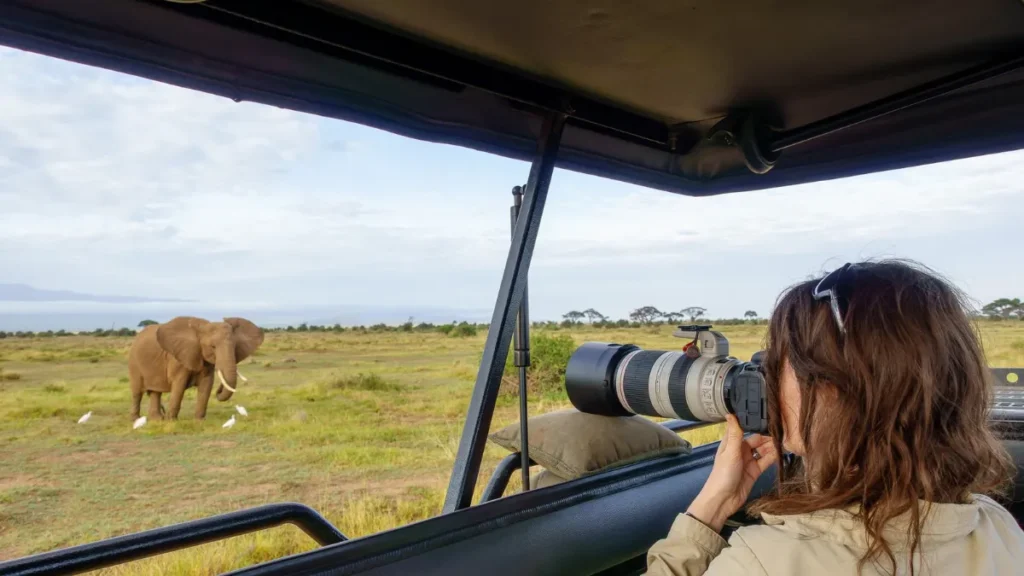 Wildlife Photo Tours