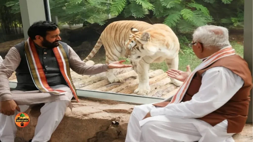 Will Vantara Be Open for Public