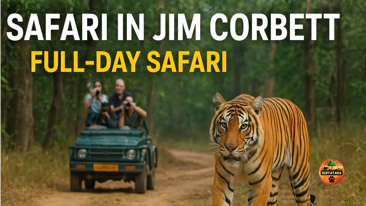 Safari in Jim Corbett