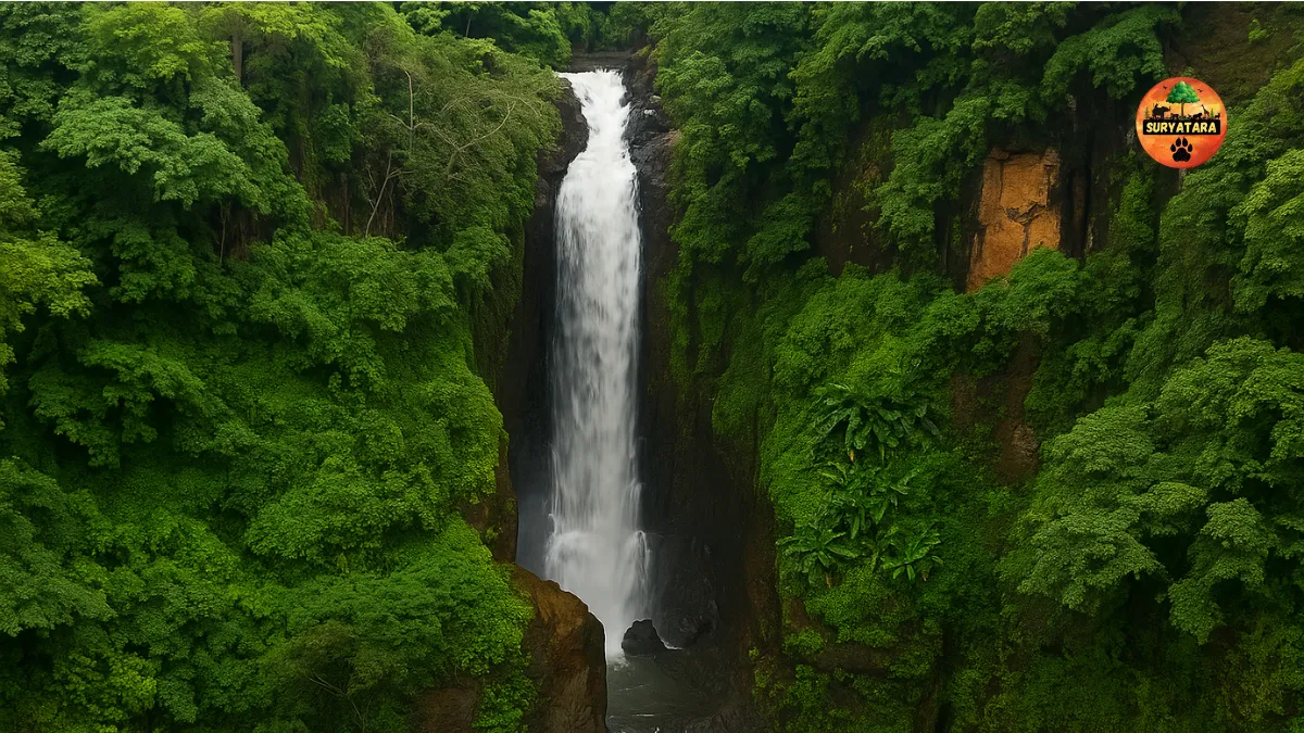 Dahal Dhodhha Waterfall