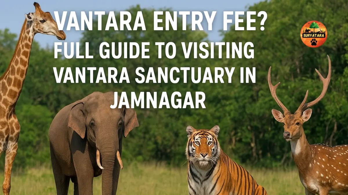 Vantara Entry Fee