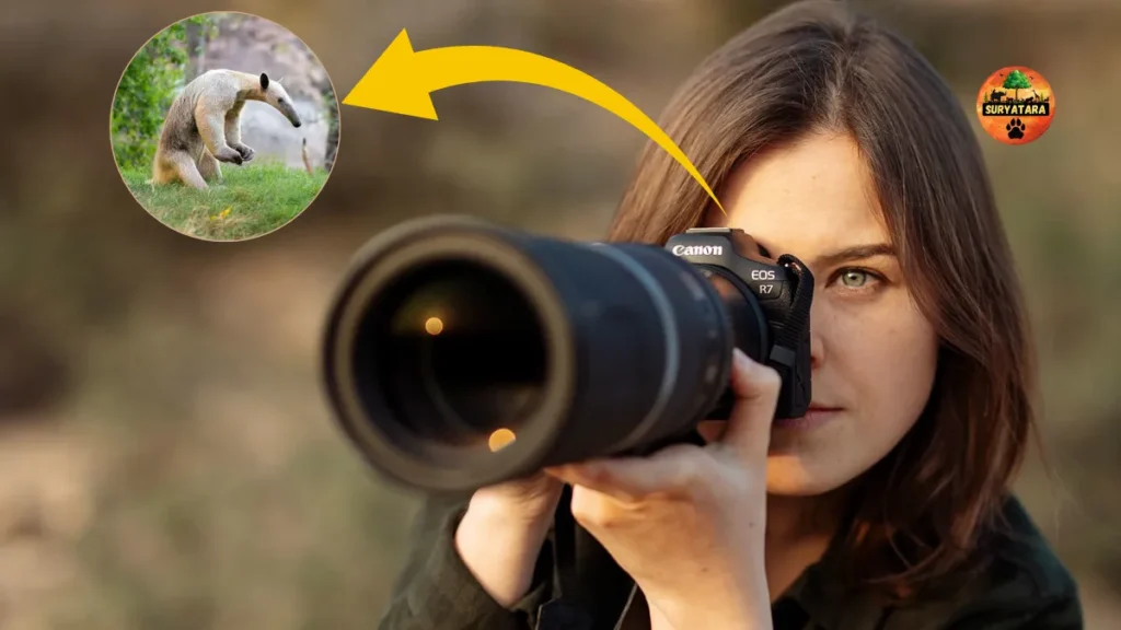 Wildlife Photography Camera Price in 2025