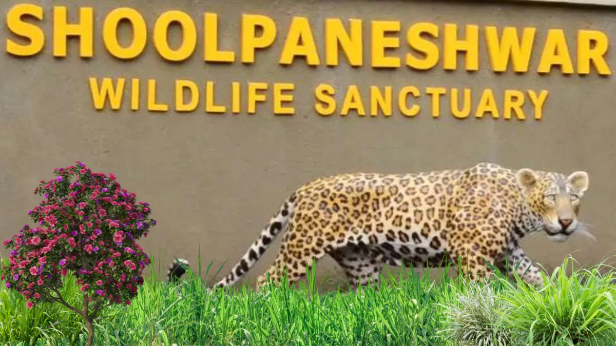 Shoolpaneshwar Wildlife Sanctuary