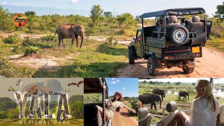 Yala National Park