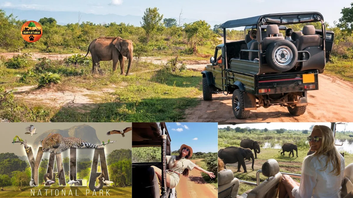 Yala National Park