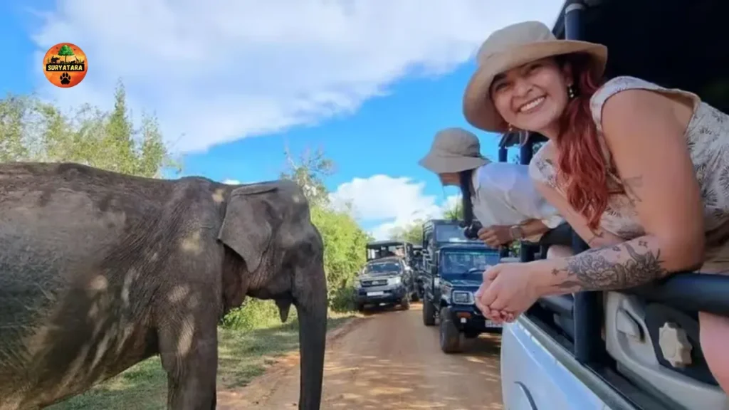 Yala National Park