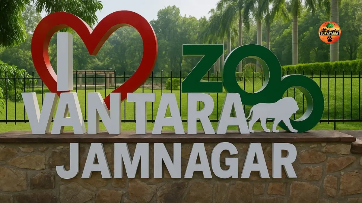 Vantara Price