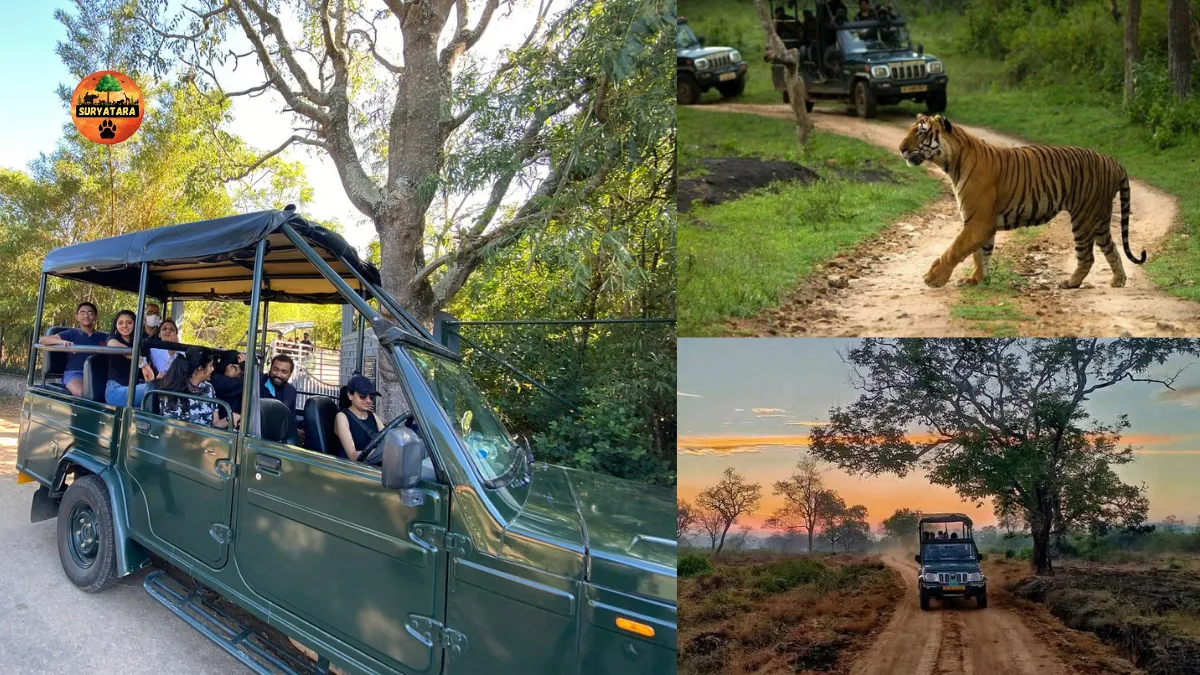Bandipur National Park Safari Package