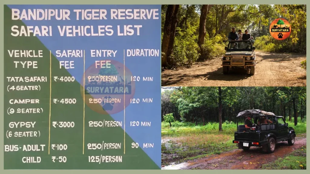 Bandipur National Park Safari Package
