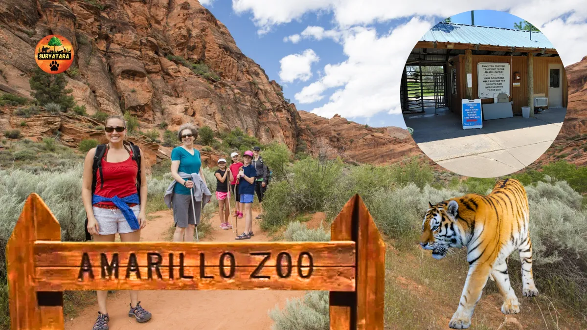 Amarillo Zoo Tickets Price